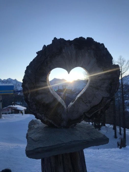 Herzförmige Öffnung in einem Baumstumpf, durch die die Sonne scheint